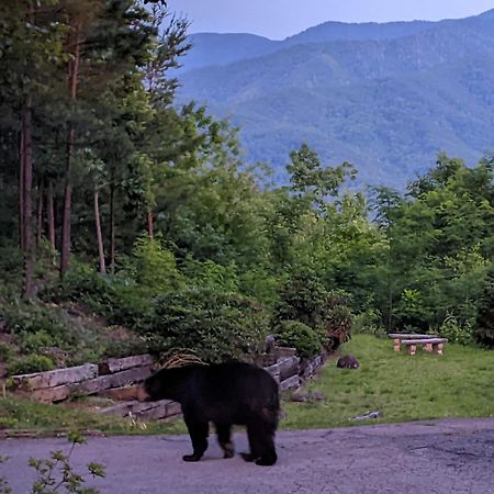 Real Log Cabin With Amazing Views, Hot Tub, Sauna, Games Gatlinburg Esterno foto