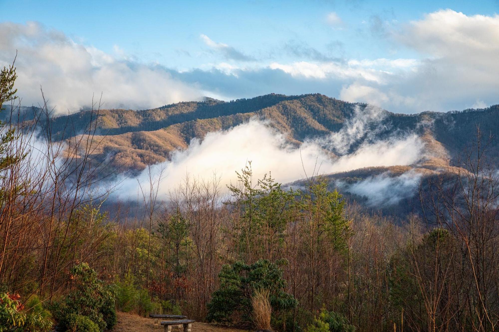 Real Log Cabin With Amazing Views, Hot Tub, Sauna, Games Gatlinburg Esterno foto